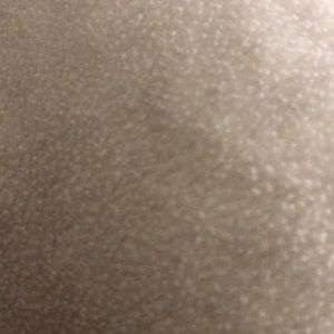 Meet your Posher, Afroza